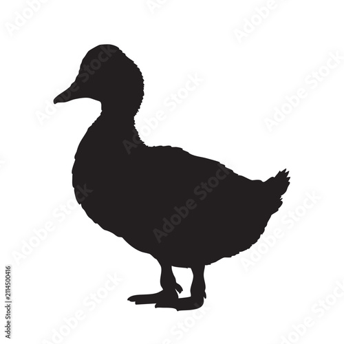 Black duck silhouette standing