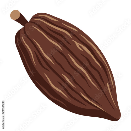 Cocoa pod isolated on white background, brown chocolate bean
