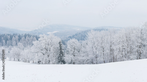 Winter landscape in the mountains with snow-covered fields and trees on a foggy winter day, view from a hiking trail.