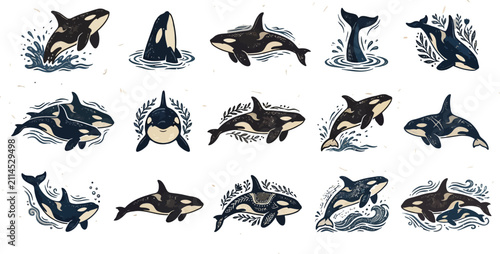 Handcrafted artisan orca whale collection featuring fourteen mature illustrations of killer whales in dynamic poses