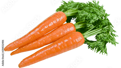 Fotografie Three fresh orange carrots with green leafy tops