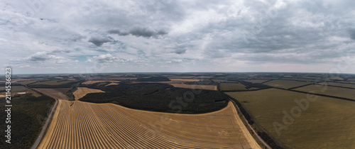 Farmland with plowed rows with dramatic, cloudy sky. Dark forest with golden fields in serene rural landscape