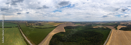 Vast green and golden agricultural fields under cloudy sky. Rural landscape and harvest season colors