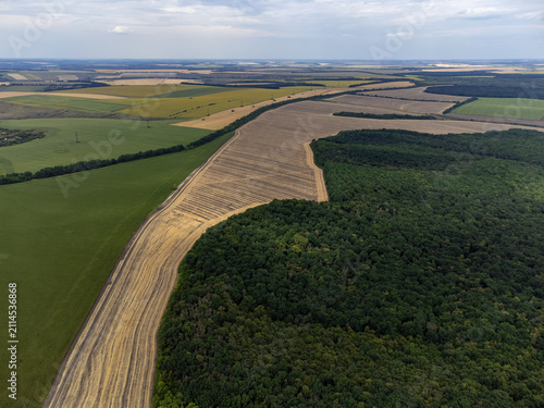 Aerial summer farmland with trees hedgerows in rural landscape