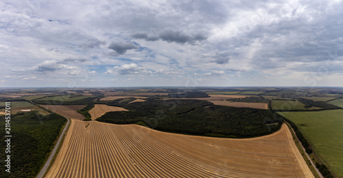 Aerial agriculture farmland with golden rows and dramatic sky. Summer rural landscape