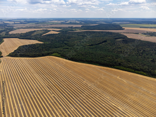 Aerial golden wheat fields harvest time. Rural seasonal scenery