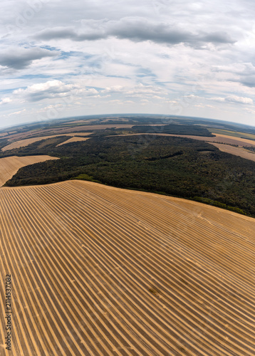 Aerial fish-eye panorama of golden crop fields with neat rows, bordered by green forest and cloudy sky
