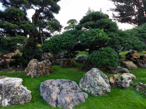 The classic Chinese-style garden background showing sculpted green trees and white-dark Scholar's rocks
