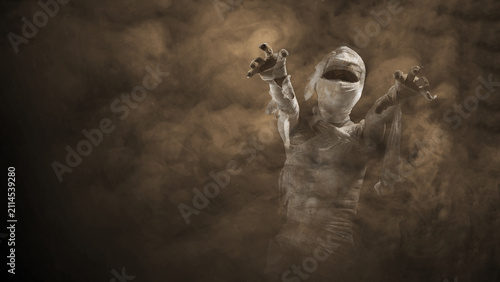Cuadro en lienzo A terrifying mummy emerging from swirling dust and fog, with tattered bandages and reaching arms, capturing a dark, cinematic Halloween horror atmosphere