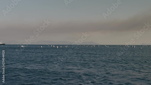 Floating buoys at a mussel farm in the Gulf of Naples, along the Mediterranean coast.