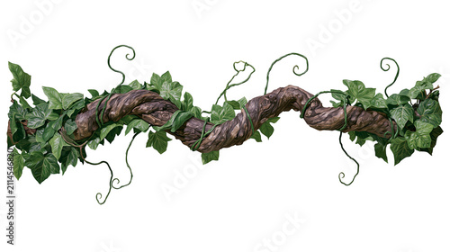 Obraz na plátne Thick gnarled tree branch entwined with green ivy leaves and tendrils