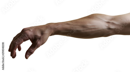 Картината върху платно Male forearm and hand reaching down with fingers curled