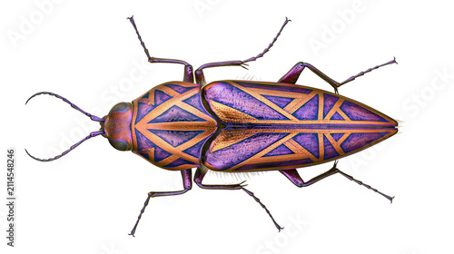 фотографія Jewel beetle with metallic purple and orange geometric pattern