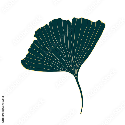Ginkgo leaf gold edge trendy sketch. Isolated ginkgo biloba leaf illustration. Transparent PNG object.