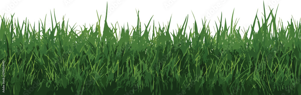 Obraz premium Cartoon Green Grass Collection Isolated on White Background