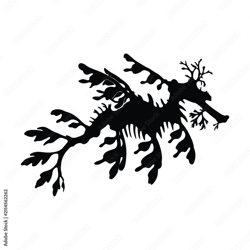 Fototapeta premium Leafy seadragon silhouette isolated on white background for marine life graphic design projects