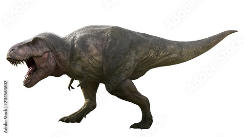 Fotografie Tyrannosaurus Rex dinosaur roaring with mouth open