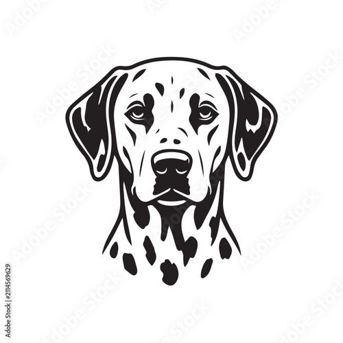 dog isolated on white background