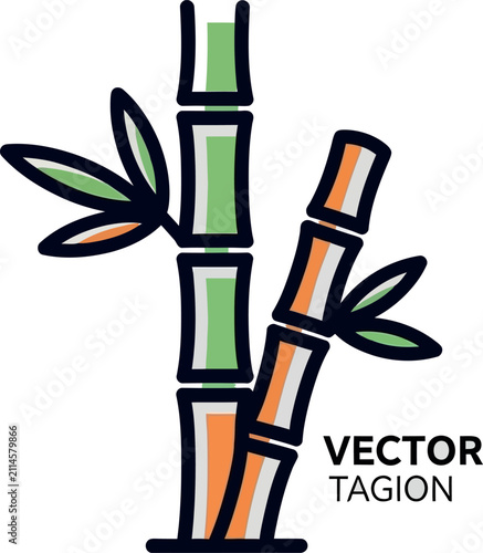 Bamboo Plant Vector Illustration