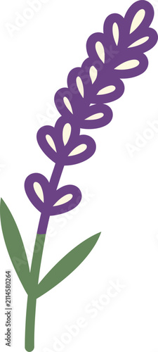 Cute Lavender Flower Vector Illustration