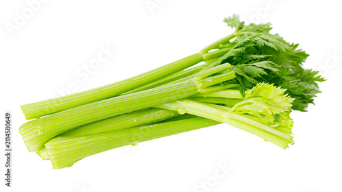 Fresh green celery stalks with leaves and water droplets