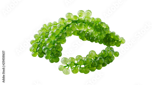 Green sea grapes cluster with small round berries