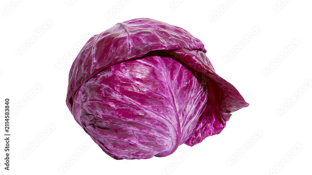 Obraz premium Red cabbage head with vibrant purple leaves