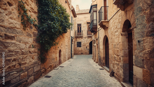 Quiet Historic European Stone Alley with Arched Doorways and Ivy