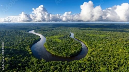 A winding river flows through a dense, lush green forest under a bright blue sky filled with fluffy white clouds. This aerial view captures the vastness and beauty of the natural landscape.