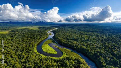 A winding river flowing through a lush, dense rainforest under a dramatic sky with white clouds