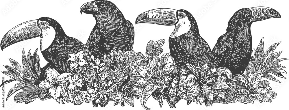 Obraz premium four tropical toucans perched among lush leaves and exotic flowers in detailed black and white illustration