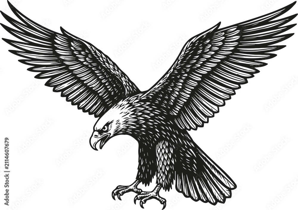 Fototapeta premium Black eagle with wings spread wide, fierce sharp talons ready to grasp, powerful flying bird illustration