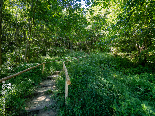 Konstfotografi Ascending trail to Ulmet Concretions named Trovants, Buzau County, Romania