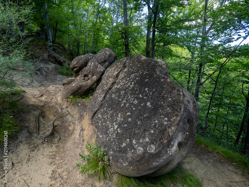 фотографія Ulmet Concretions named Trovants, Buzau County, Romania