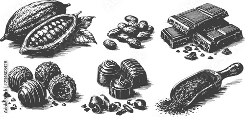 hand drawn cacao pods, beans, chocolate bars, truffles, and powder set vintage engraving