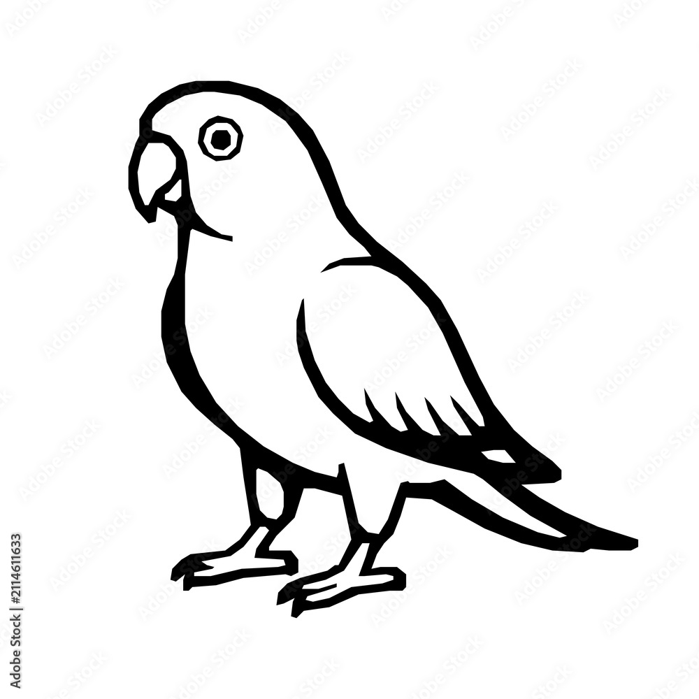 Fototapeta premium vector illustration of a bird