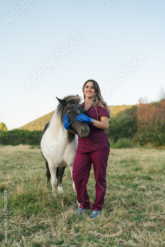 Принти на полотні Female equine veterinarian examining pony in field
