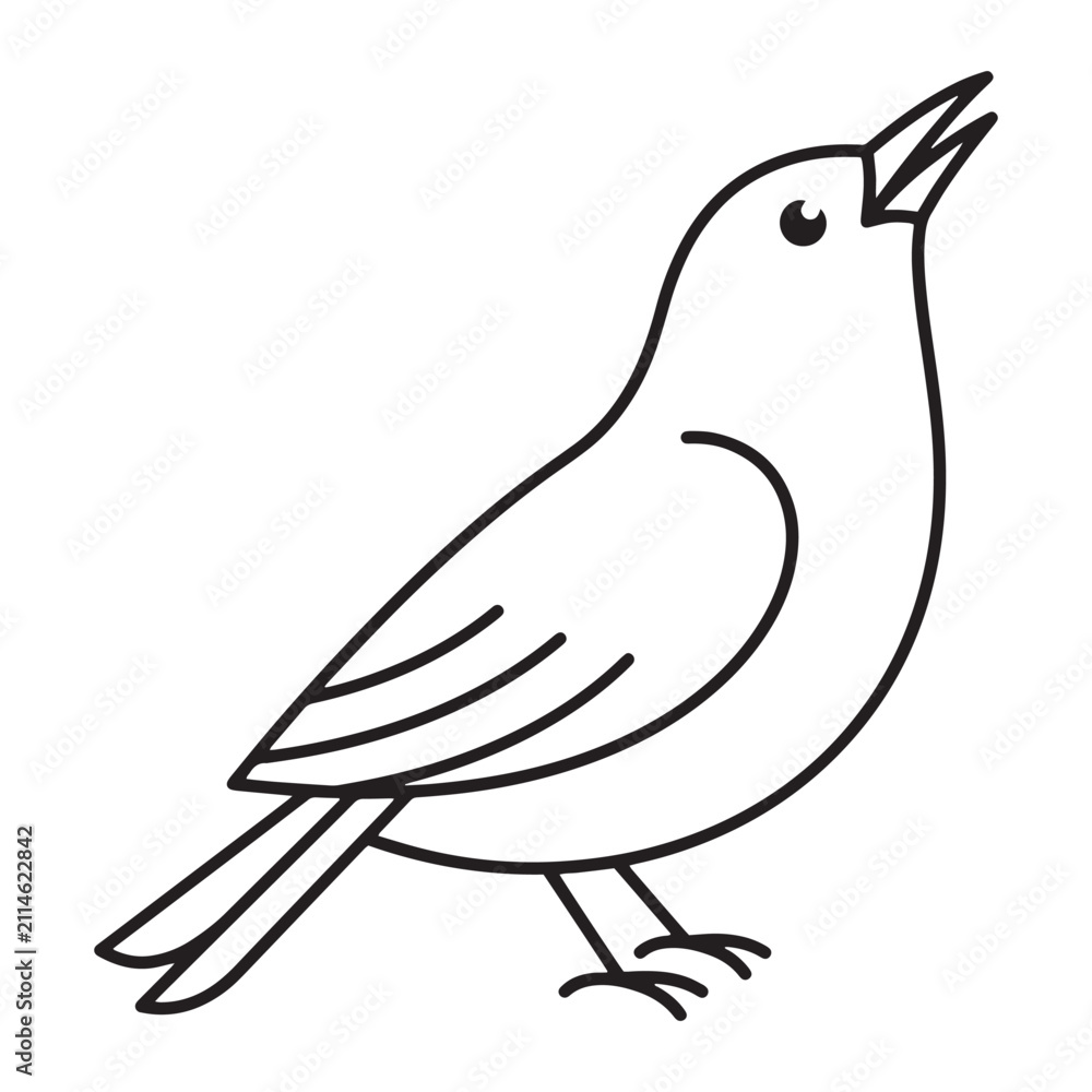 Fototapeta premium Minimalist outline drawing of a singing bird perched on a branch looking upwards now.