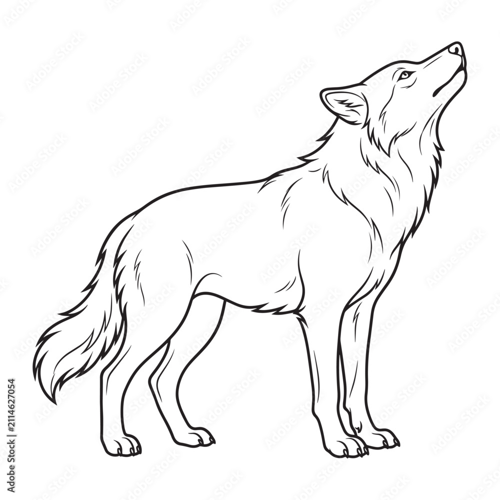 Obraz premium Stunning line art illustration of a wild wolf howling at the moon for your designs.