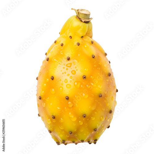 Fresh yellow prickly pear cactus fruit isolated on transparent background