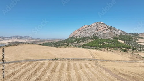 campo de siembra de cereal ya recogido y segado en Andalucía