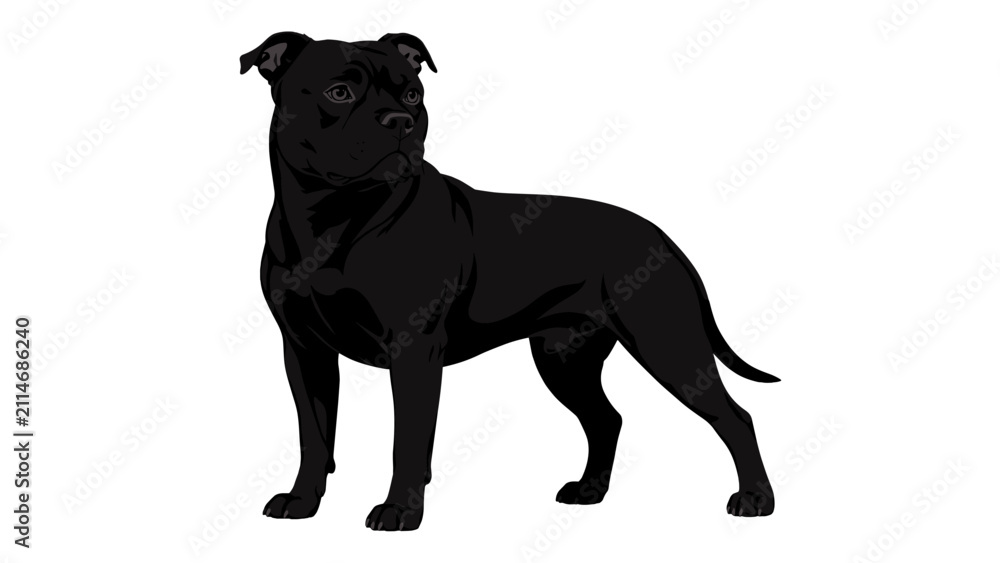 Fototapeta premium Black muscular dog standing in side view vector illustration