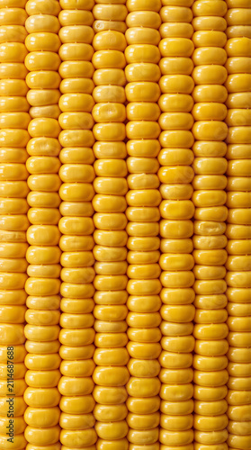Extreme Macro of Ripe Yellow Corn Kernels Full Frame Natural Texture Background