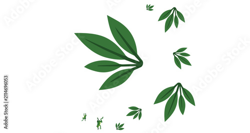 Fotografie green cannabis leaves isolated on white background natural healthy plant visual