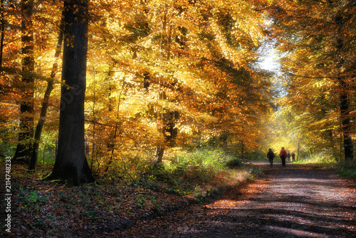 Goldener Oktober in der Eifel