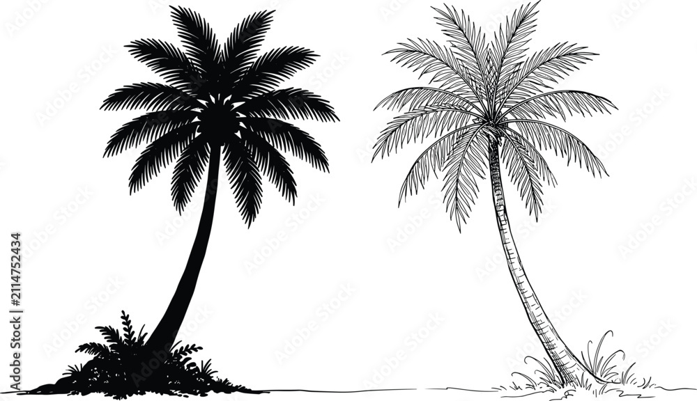 Fototapeta premium Palm tree silhouette and line art vector set black icons