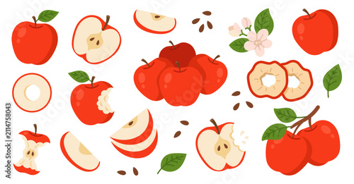 Vector set of red apple elements in a charming flat style. Includes whole ripe apples, halves, bite marks, wedges, dried rings, core, seeds, leaves, and spring flowers. Ideal for market labels