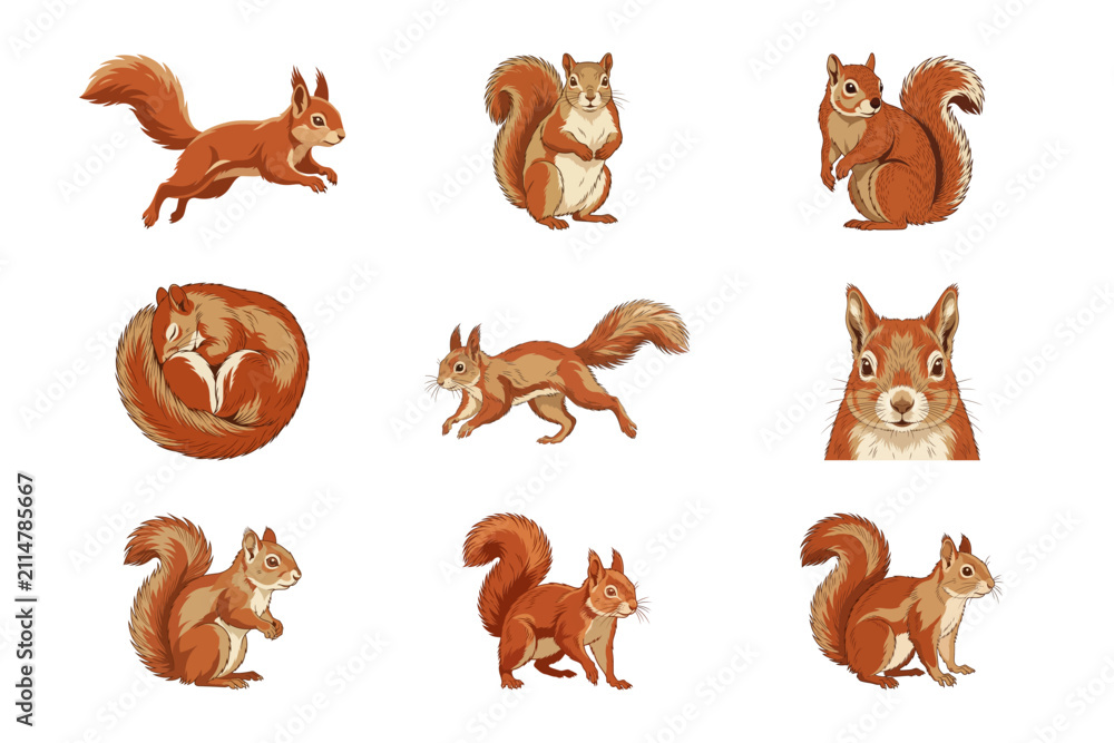 Obraz premium Set of cute watercolor squirrel illustrations depicting various active poses and nature forest lif