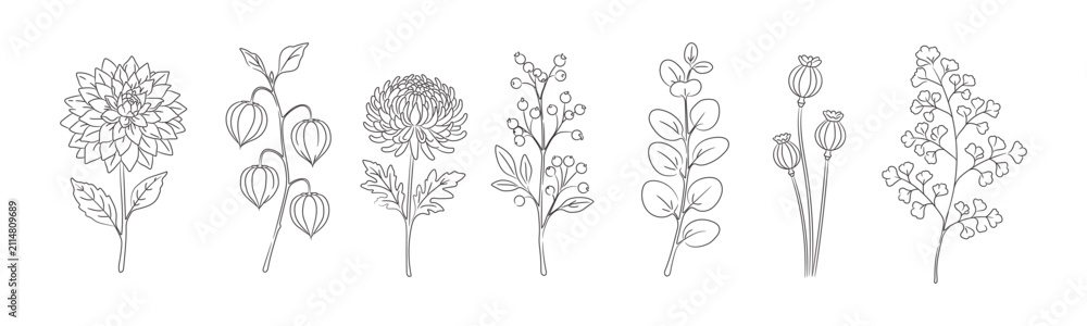 Obraz premium Autumn botanical decor line art set