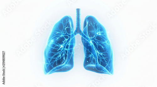 Detailed holographic lungs with visible bronchial network floating on pure white background, showing respiratory system anatomy in glowing blue light with digital effects